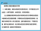 人教版高二生物选择性必修一 第2章 《神经调节》复习课件
