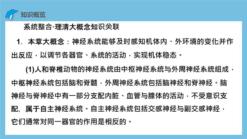 人教版高二生物选择性必修一 第2章 《神经调节》复习课件02