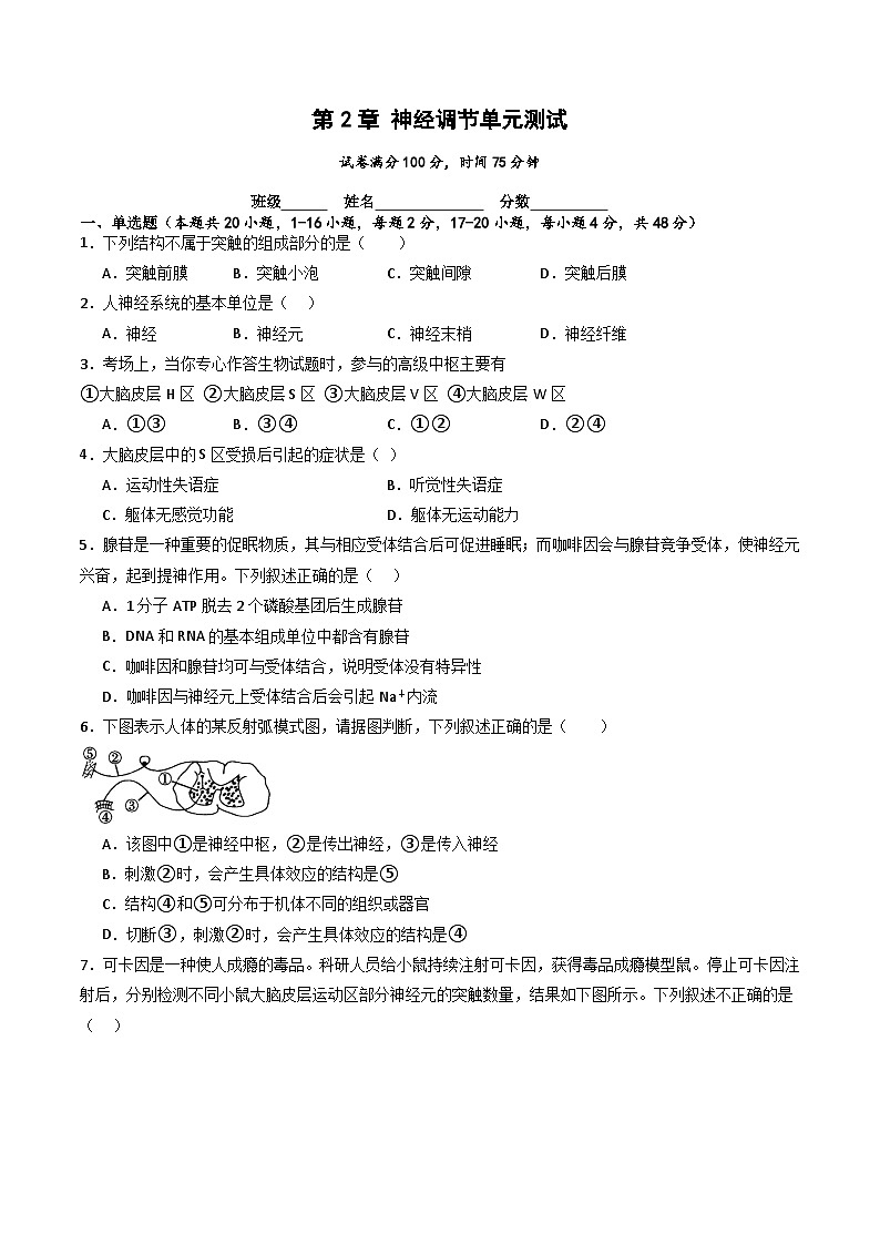 人教版高二生物选择性必修一 第2章 《神经调节》分层练习（原卷版）第1页