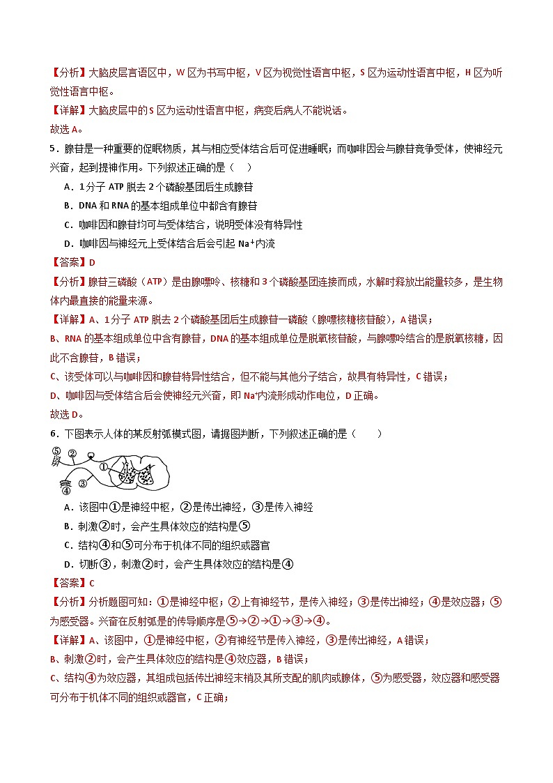 人教版高二生物选择性必修一 第2章 《神经调节》分层练习（解析版）第2页