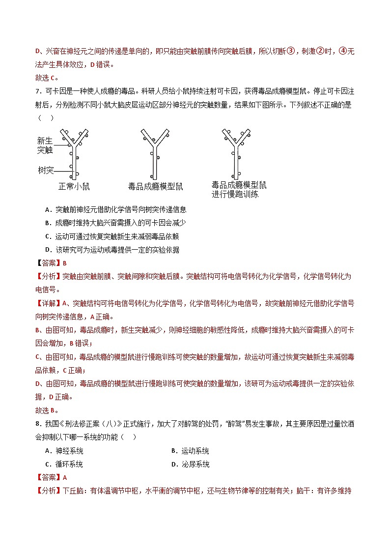 人教版高二生物选择性必修一 第2章 《神经调节》分层练习（解析版）第3页