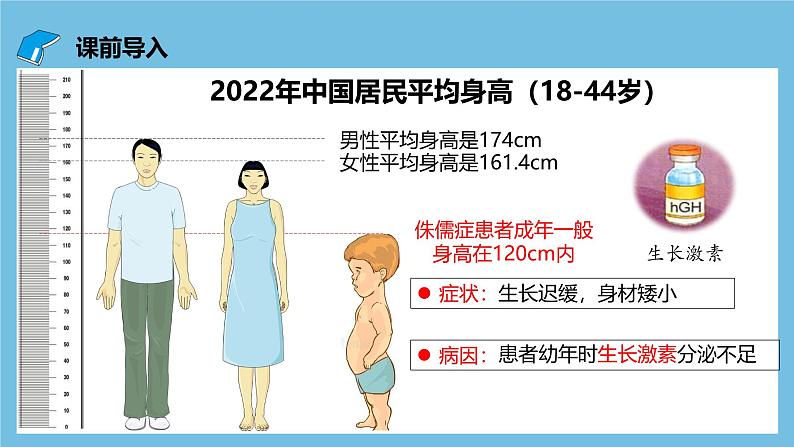 人教版高二生物选择性必修一 3.1.1《激素的发现及研究实例》课件03