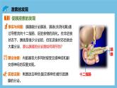 人教版高二生物选择性必修一 3.1.1《激素的发现及研究实例》课件