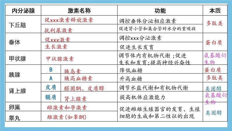 人教版高二生物选择性必修一 3.1.2 《内分泌系统的组成和功能》课件第7页