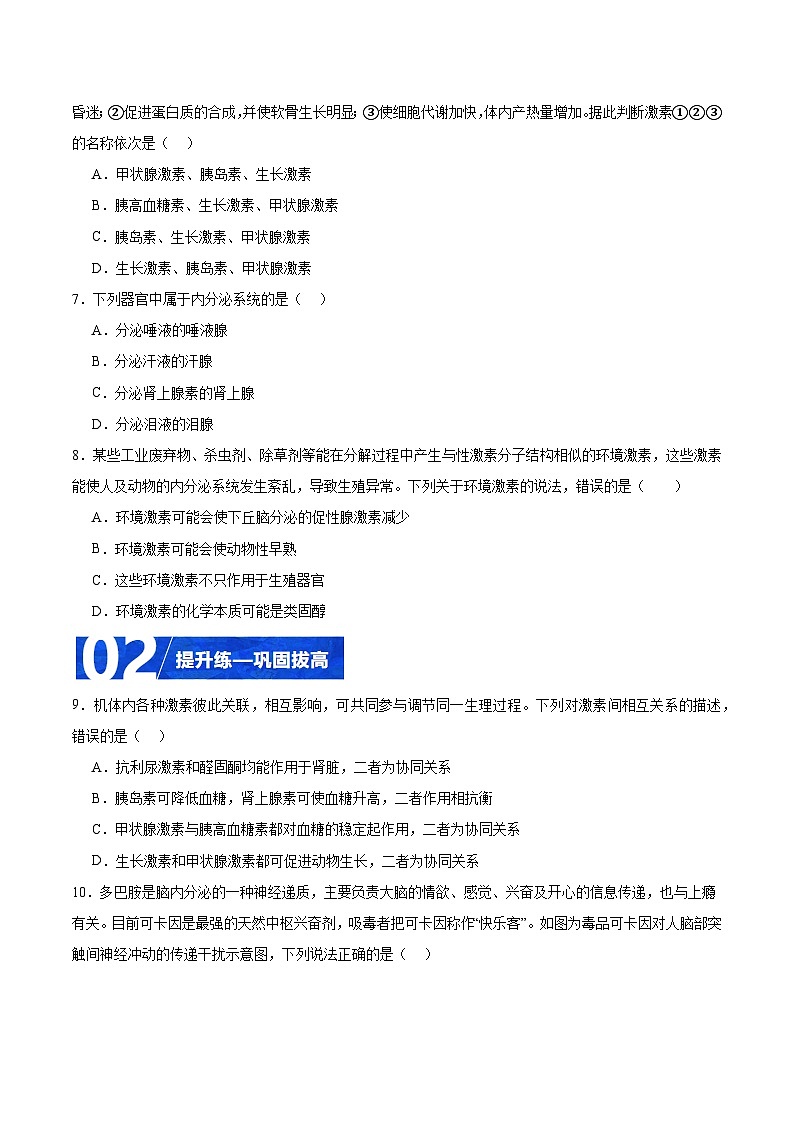 人教版高二生物选择性必修一 3.1.2 《内分泌系统的组成和功能》分层练习（原卷版）第2页