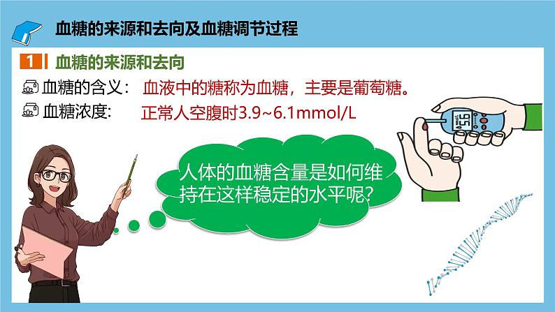 人教版高二生物选择性必修一 3.2.1 《血糖平衡的调节》课件05