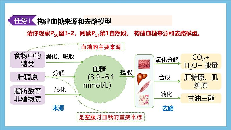 人教版高二生物选择性必修一 3.2.1 《血糖平衡的调节》课件06