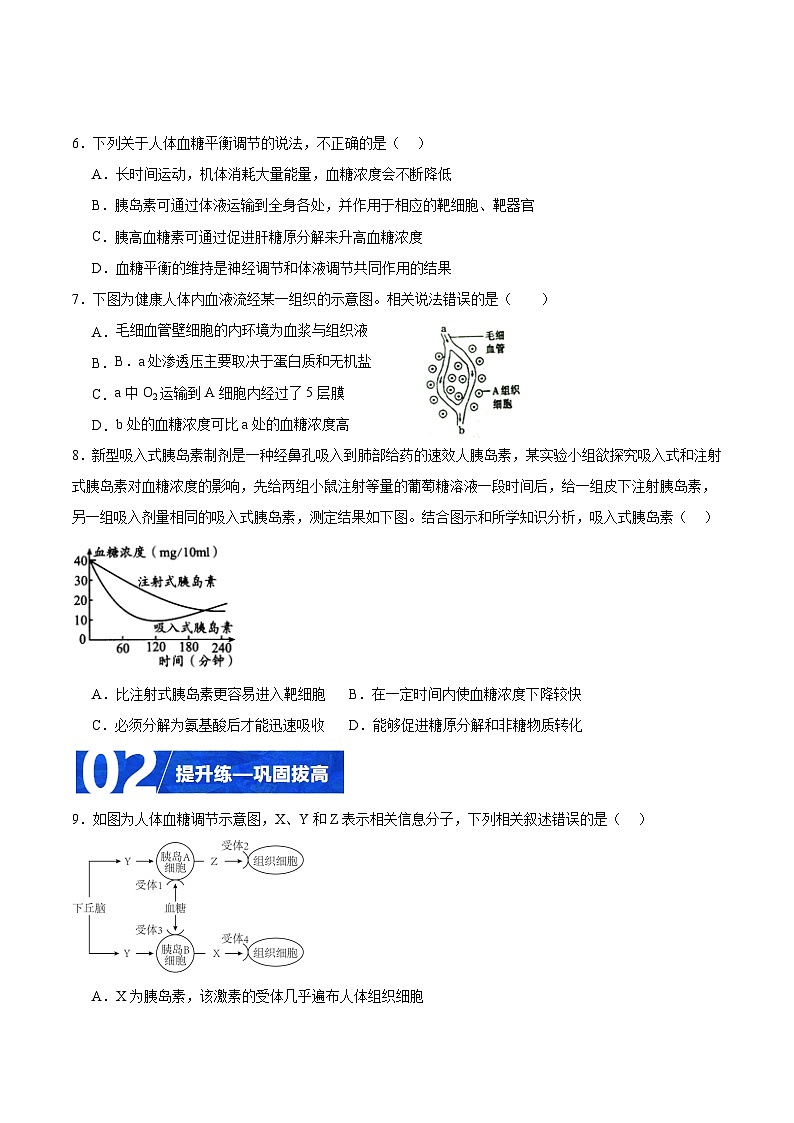 人教版高二生物选择性必修一 3.2.1 《血糖平衡的调节》分层练习（原卷+解析卷）02