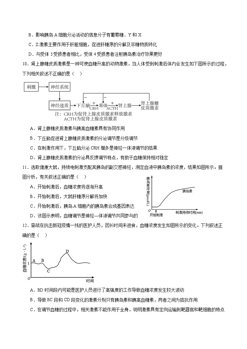人教版高二生物选择性必修一 3.2.1 《血糖平衡的调节》分层练习（原卷+解析卷）03