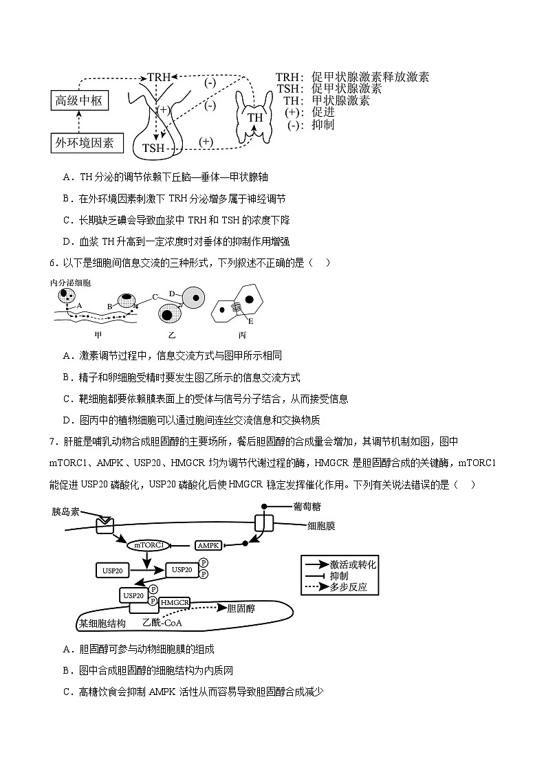 人教版高二生物选择性必修一 3.2.2 《甲状腺激素的分级调节和激素调节的特点》分层练习（原卷版）第2页