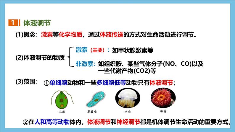 人教版高二生物选择性必修一 3.3.1 《体液调节与神经调节的比较和体温调节》课件第6页