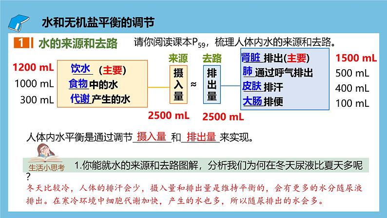 人教版高二生物选择性必修一 3.3.2 《水和无机盐平衡的调节》课件05