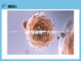 人教版高二生物选择性必修一 4.2.1 《体液免疫》课件
