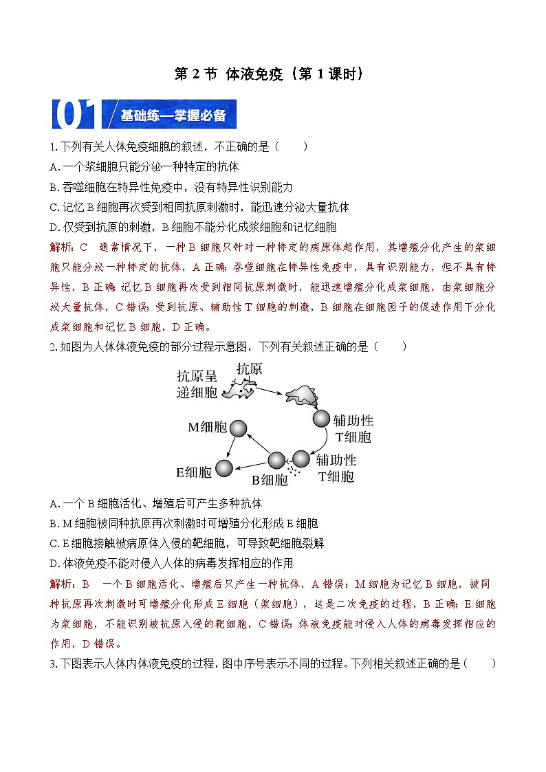 人教版高二生物选择性必修一 4.2.1 《体液免疫》分层练习（解析版）第1页