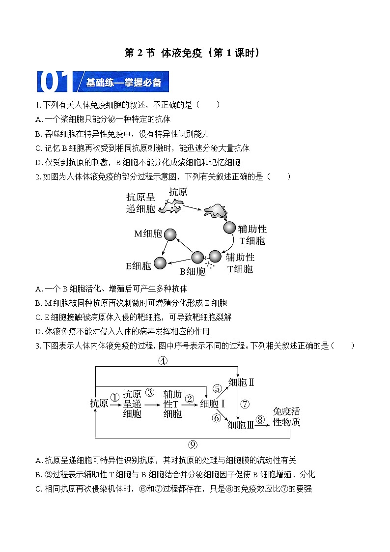 人教版高二生物选择性必修一 4.2.1 《体液免疫》分层练习（原卷版）第1页