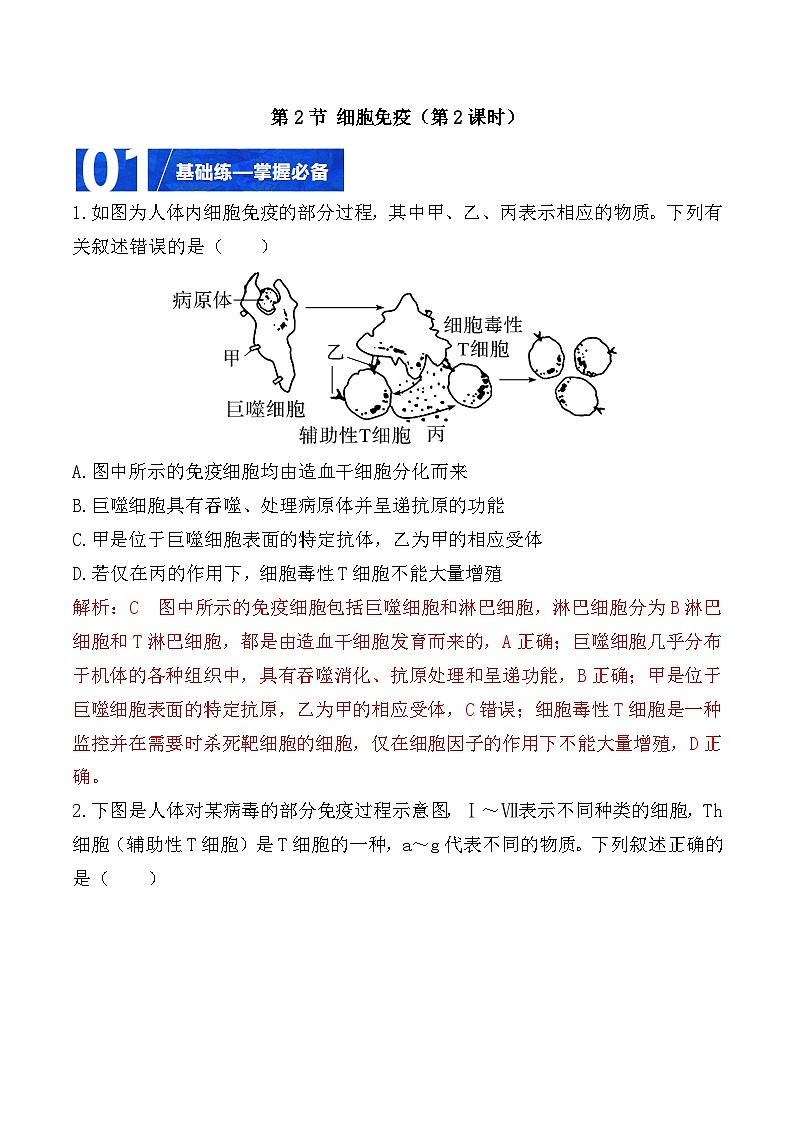人教版高二生物选择性必修一 4.2.2《细胞免疫及体液免疫和细胞免疫的协调配合》分层练习（原卷+解析卷）01