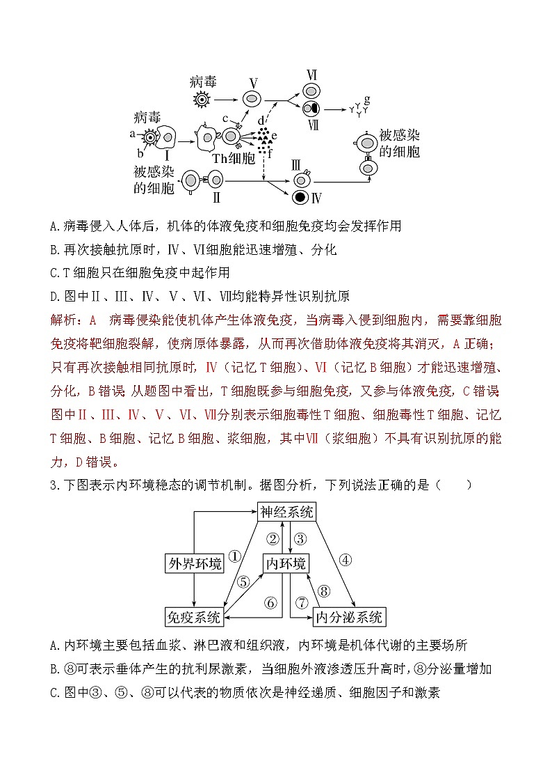 人教版高二生物选择性必修一 4.2.2《细胞免疫及体液免疫和细胞免疫的协调配合》分层练习（原卷+解析卷）02