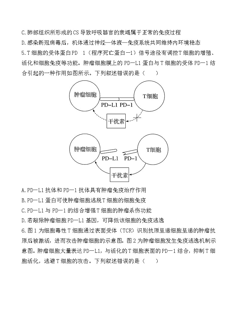 人教版高二生物选择性必修一 4.2.2《细胞免疫及体液免疫和细胞免疫的协调配合》分层练习（原卷+解析卷）03