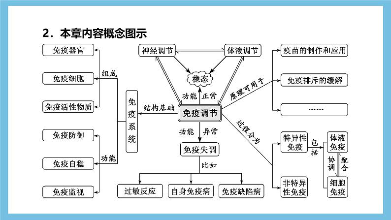 人教版高二生物选择性必修一 第4章 《免疫调节》复习课件04