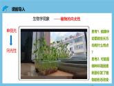 人教版高二生物选择性必修一 5.1.1 《生长素的发现过程》课件