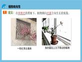人教版高二生物选择性必修一 5.1.1 《生长素的发现过程》课件