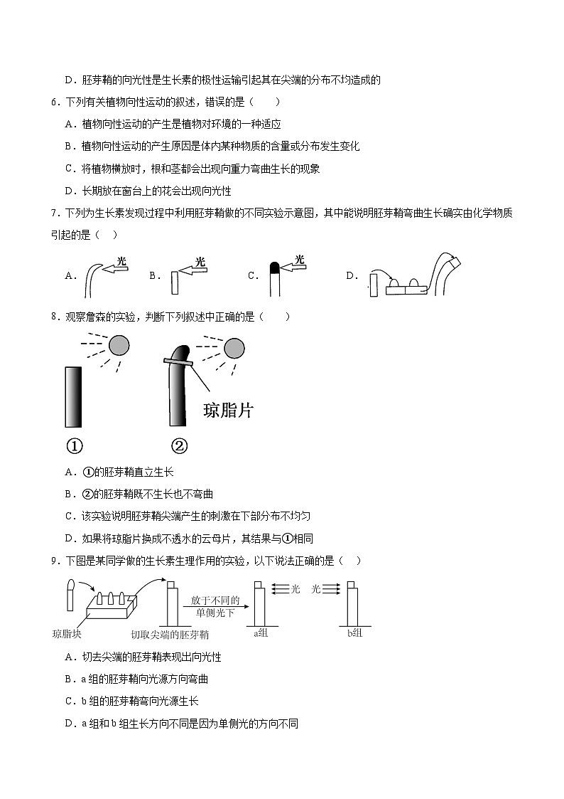 人教版高二生物选择性必修一 5.1.1 《生长素的发现过程》分层练习（原卷+解析卷）02