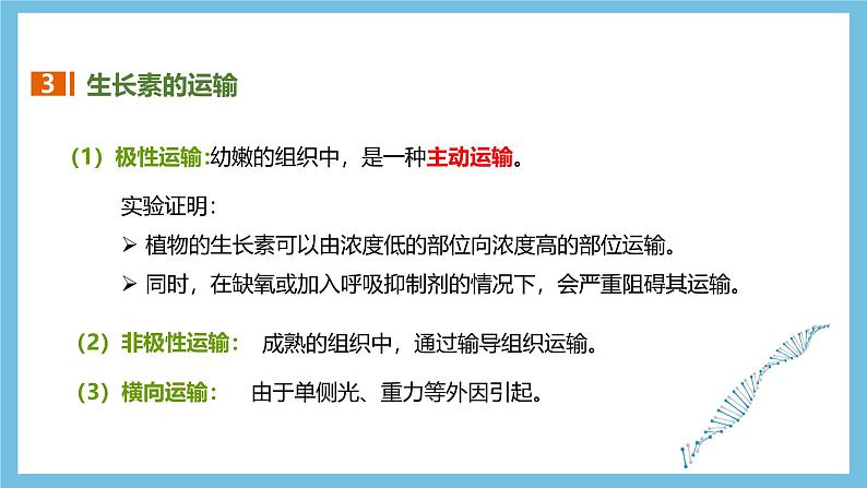 人教版高二生物选择性必修一 5.1.2 《生长素的合成、运输与分布和生长素的生理作用》课件07