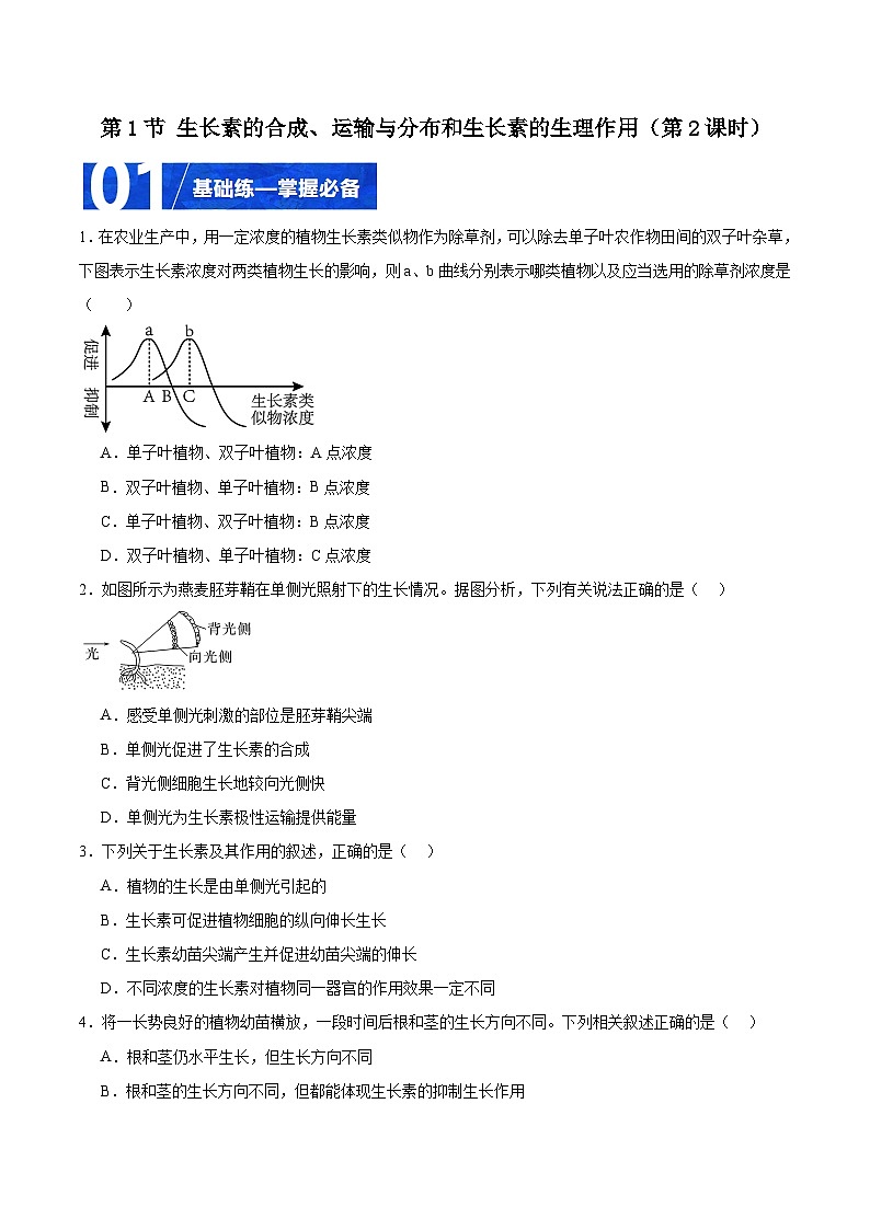 人教版高二生物选择性必修一 5.1.2 《生长素的合成、运输与分布和生长素的生理作用》分层练习（原卷版）第1页