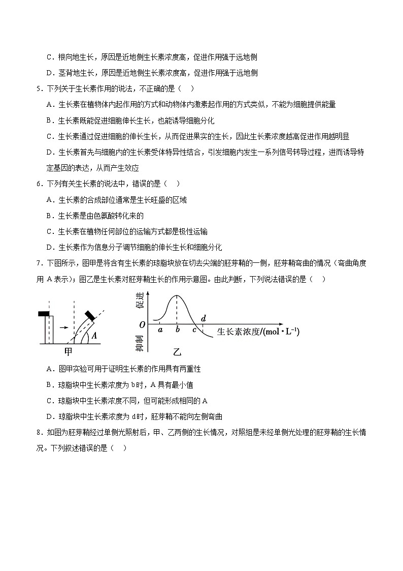 人教版高二生物选择性必修一 5.1.2 《生长素的合成、运输与分布和生长素的生理作用》分层练习（原卷版）第2页