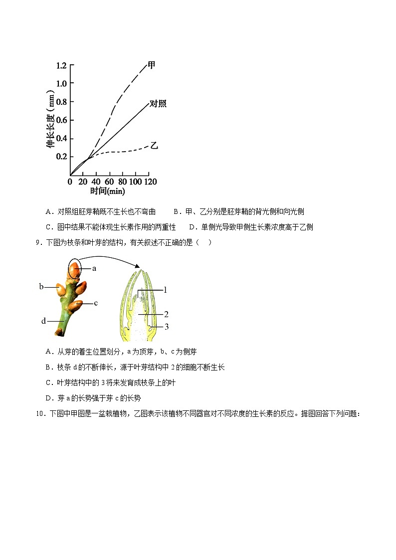 人教版高二生物选择性必修一 5.1.2 《生长素的合成、运输与分布和生长素的生理作用》分层练习（原卷版）第3页