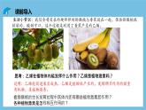 人教版高二生物选择性必修一 5.2 《其他植物激素》课件