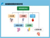 人教版高二生物选择性必修一 5.2 《其他植物激素》课件