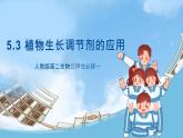 人教版高二生物选择性必修一 5.3 《植物生长调节剂的应用》课件
