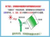 人教版高二生物选择性必修一 5.4 《环境因素参与调节植物的生命活动》课件