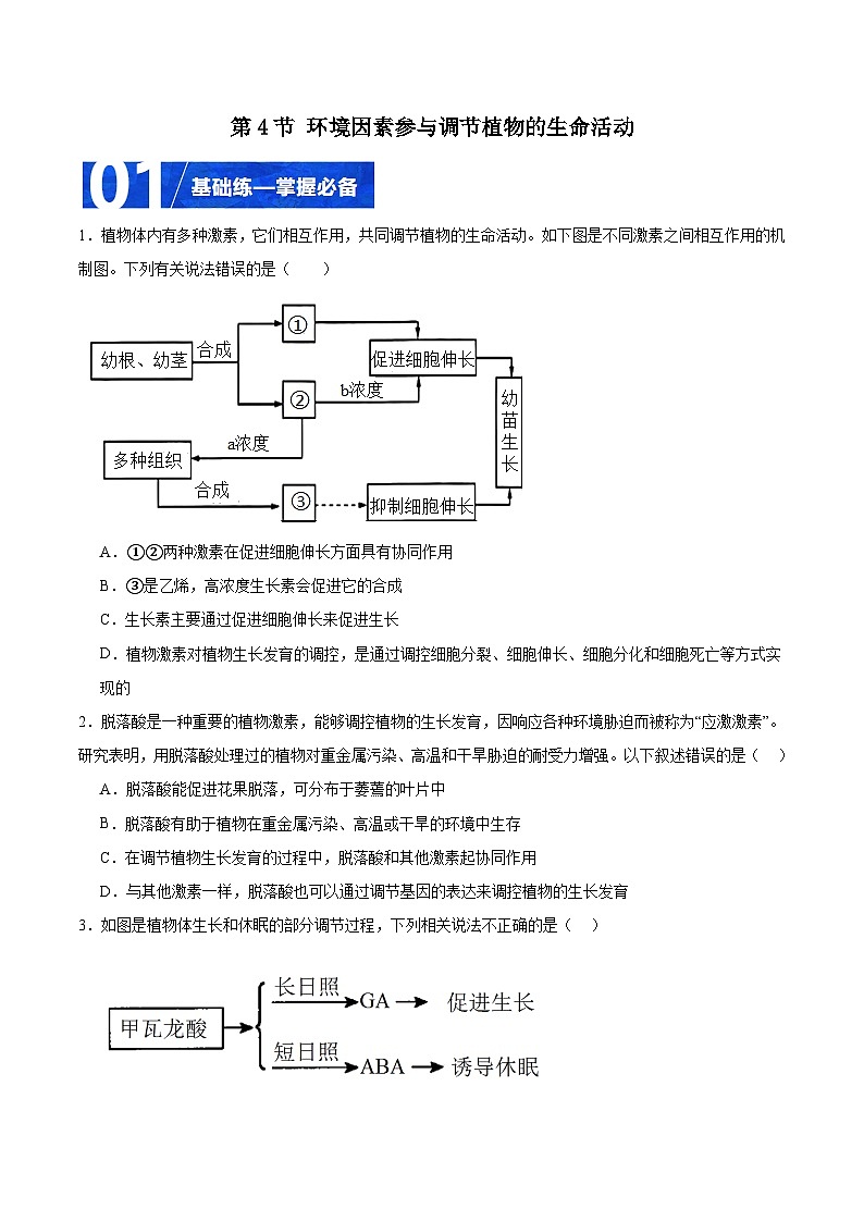 人教版高二生物选择性必修一 5.4 《环境因素参与调节植物的生命活动》分层练习（原卷+解析卷）01