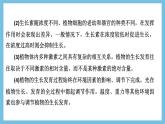 人教版高二生物选择性必修一 第5章 《植物生命活动的调节》复习课件