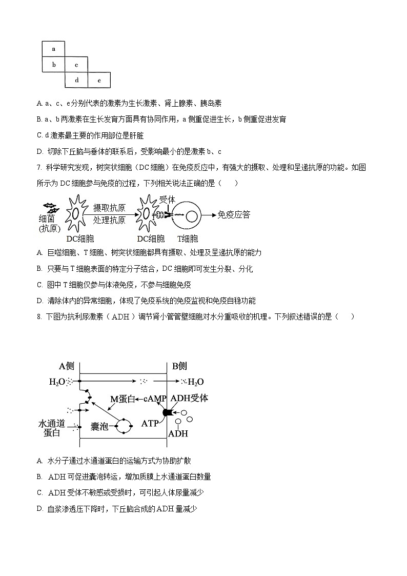 山东省济宁市曲阜夫子学校2022-2023高二上学期期末线上考试生物试题（原卷版+解析版）03