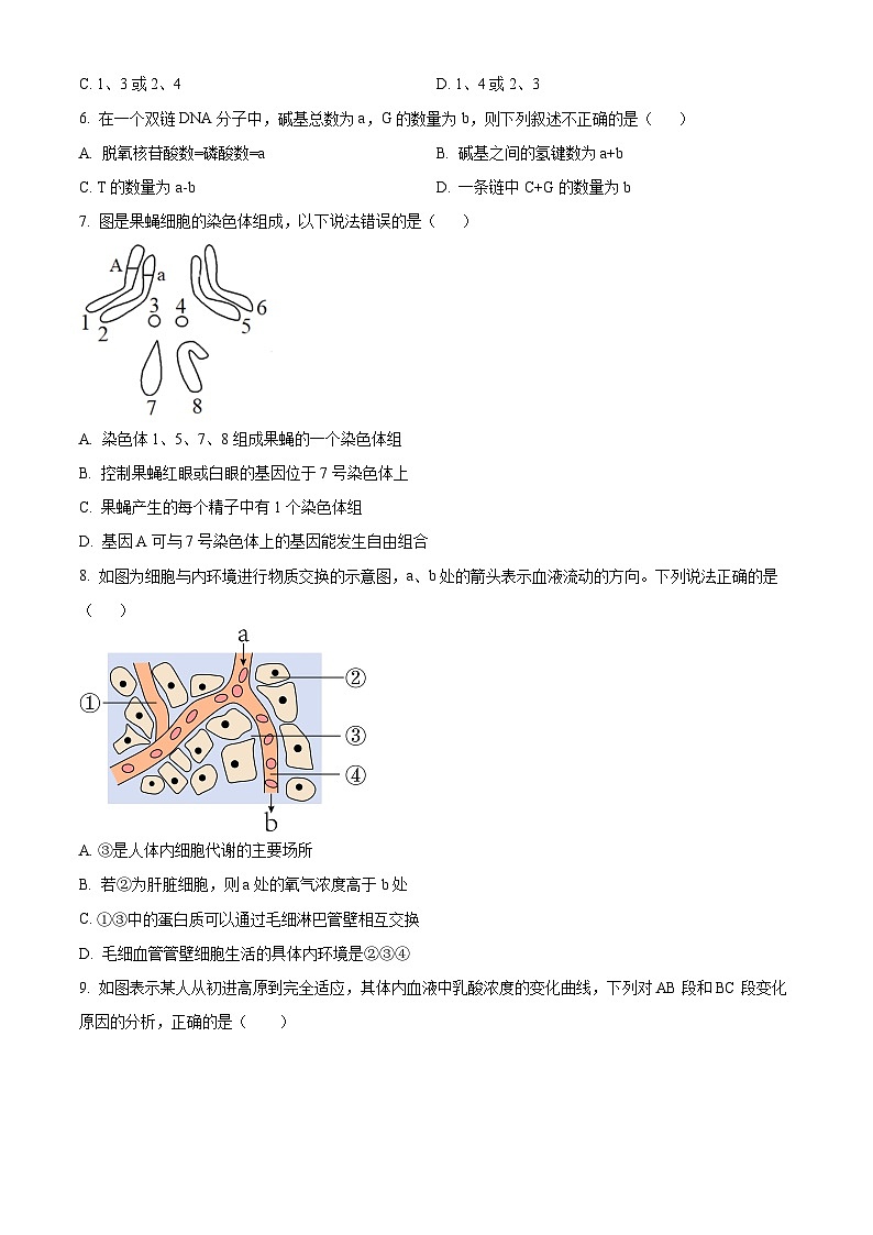 广东省兴宁市2023-2024学年高二上学期期中考试生物试卷（原卷版+解析版）02