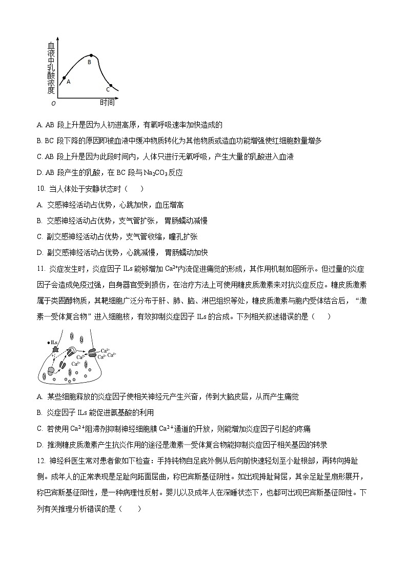 广东省兴宁市2023-2024学年高二上学期期中考试生物试卷（原卷版+解析版）03