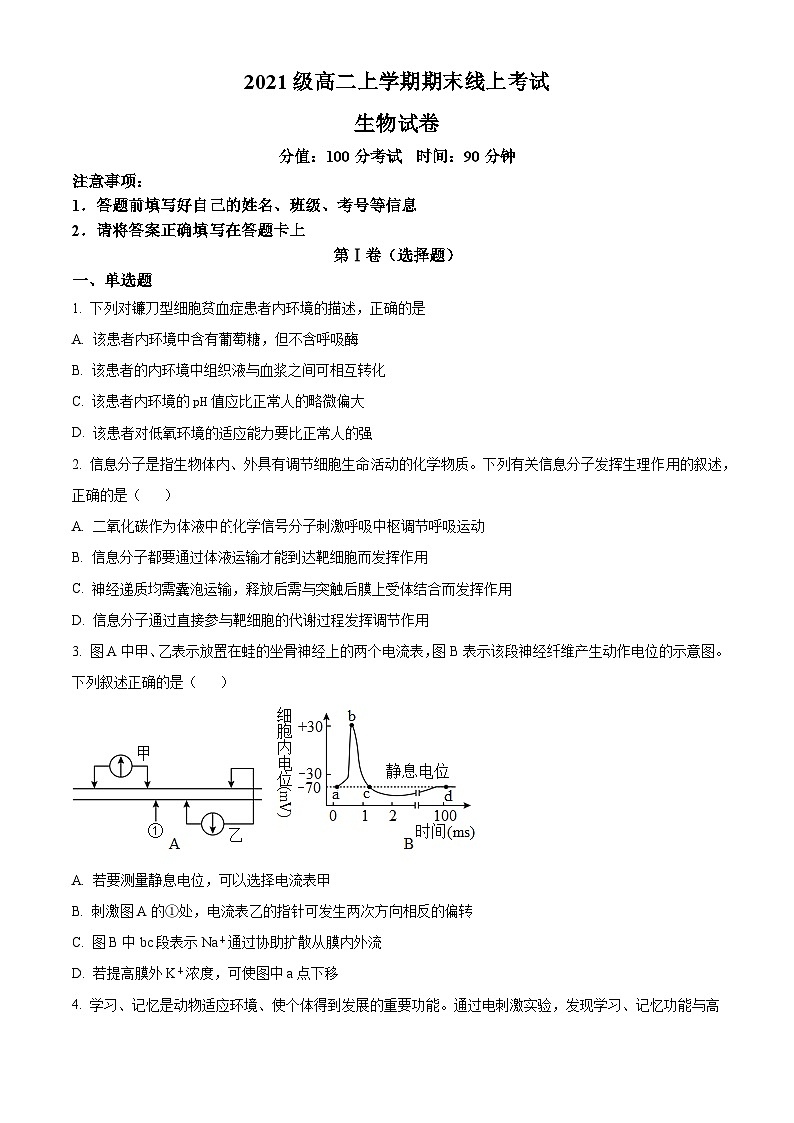 山东省济宁市曲阜夫子学校2022-2023高二上学期期末线上考试生物试题（原卷版）01