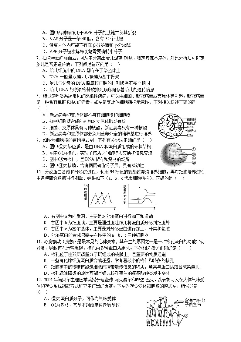 广东省四会中学、广信中学2023-2024学年高一上学期第二次月考试题 生物02