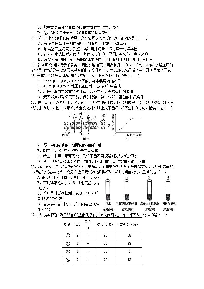 广东省四会中学、广信中学2023-2024学年高一上学期第二次月考试题 生物03