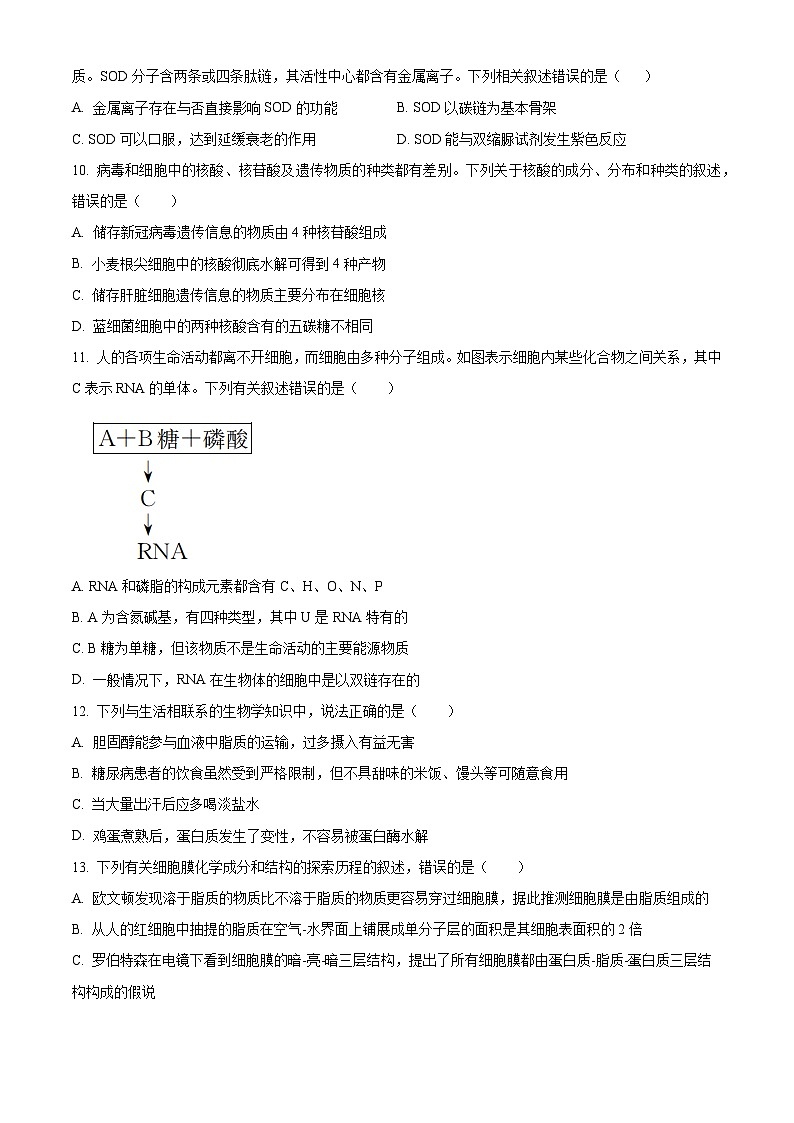 河北省秦皇岛市第一中学2023-2024学年高一上学期期中考试 生物03