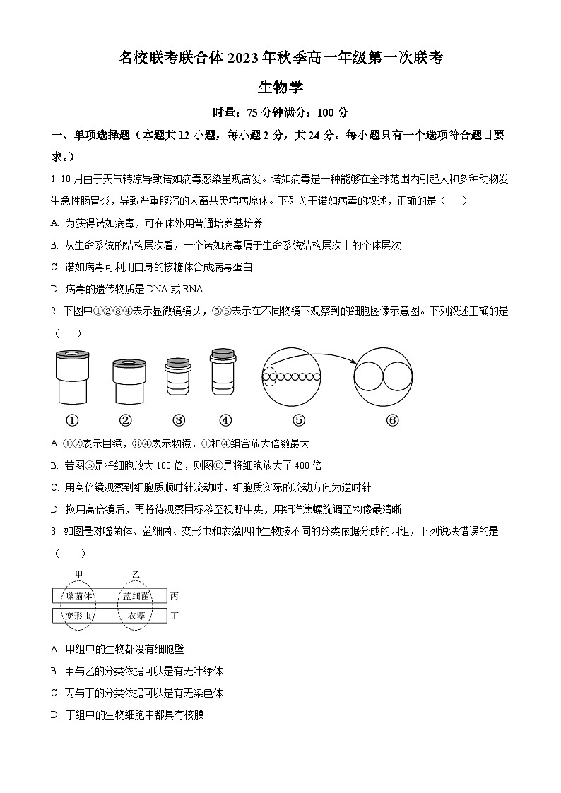 湖南省名校联考联合体2023-2024学年高一上学期第一次联考（期中考试）生物试题（含答案）01