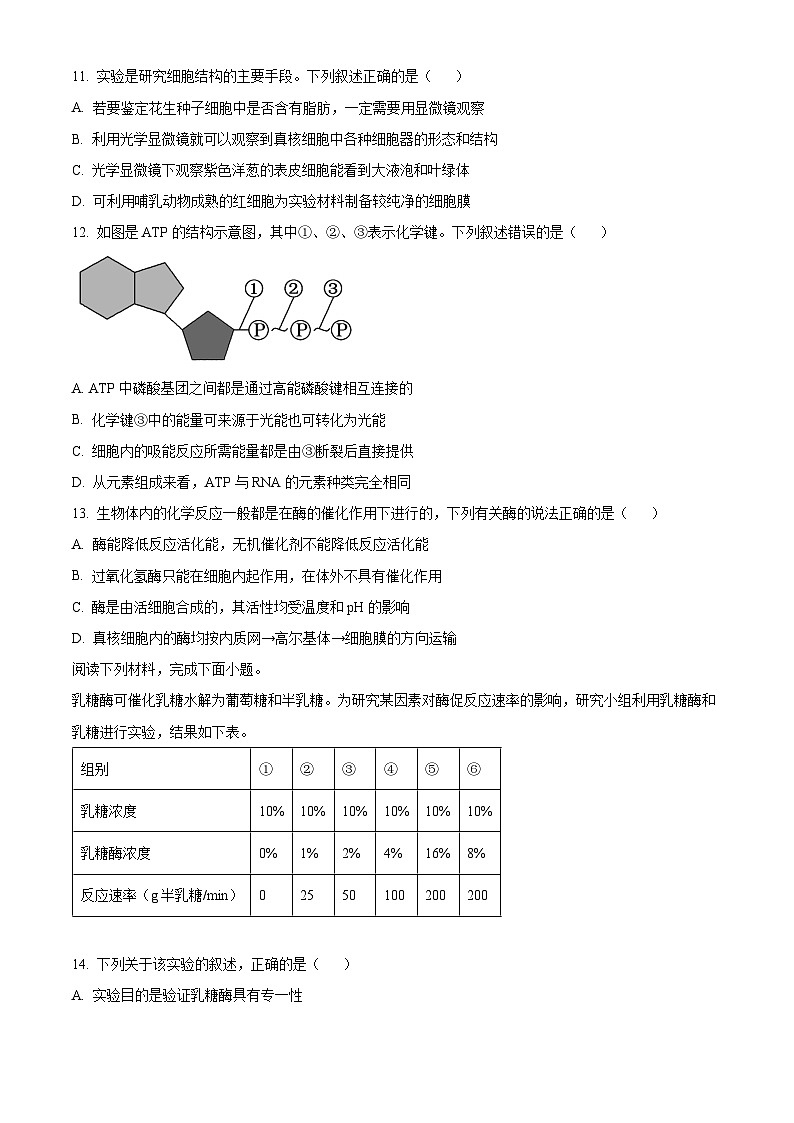 浙江省浙东北联盟（ZDB）2023-2024学年高一上学期期中生物试题（含答案）03