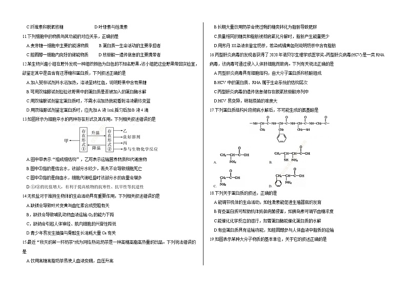 四川成都西藏中学2023-2024学年高一上学期期中考试生物试题第2页
