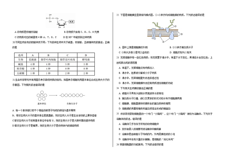 四川成都西藏中学2023-2024学年高一上学期期中考试生物试题第3页