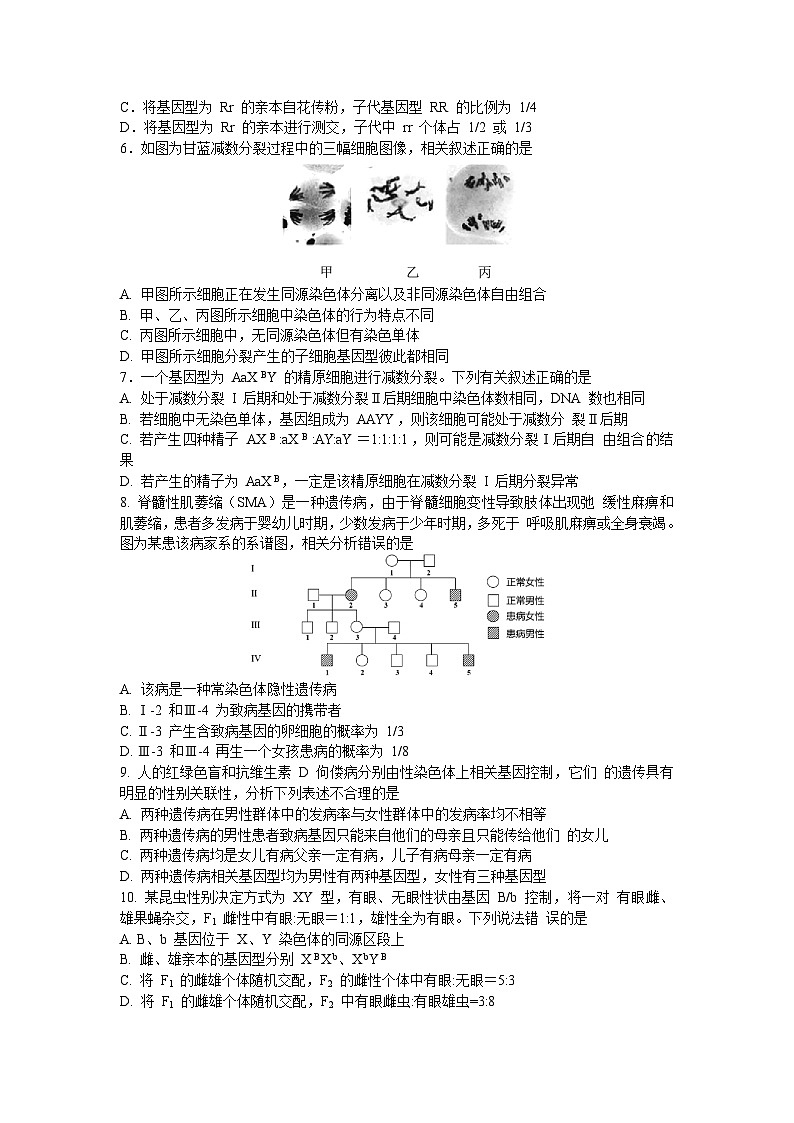 河南省郑州市中原区郑州市第一中学2023-2024学年高一下学期期中生物试卷第2页