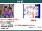 人教版（2019）高中生物必修一1.1 《细胞是生命活动的基本单位 》课件