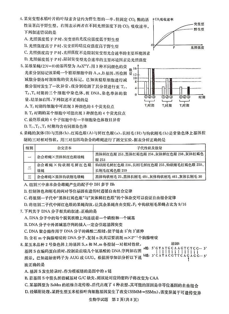 2024届八省八校高三第一次学业质量评价（T8联考）生物02